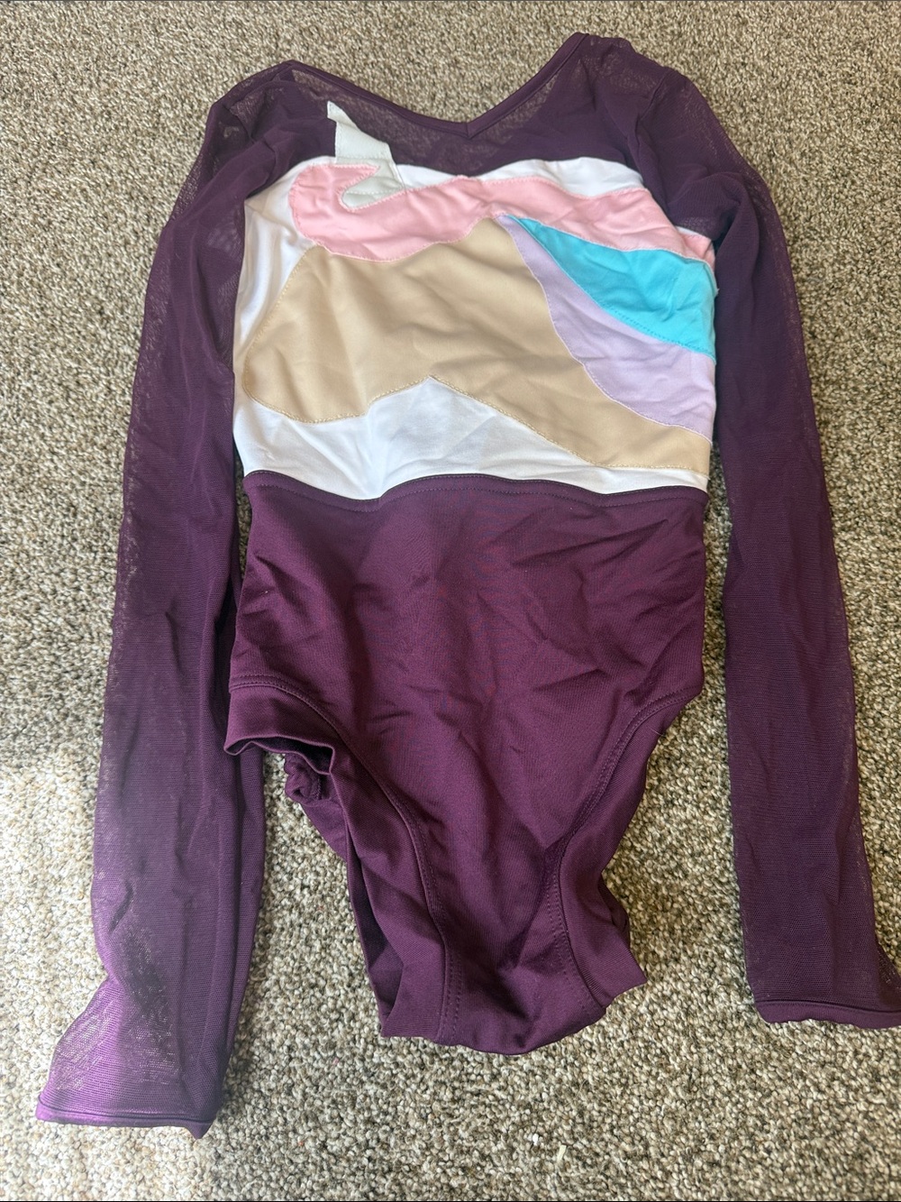 Long Sleeve Women's Leotard in Deep Plum with Pastel Colorblock